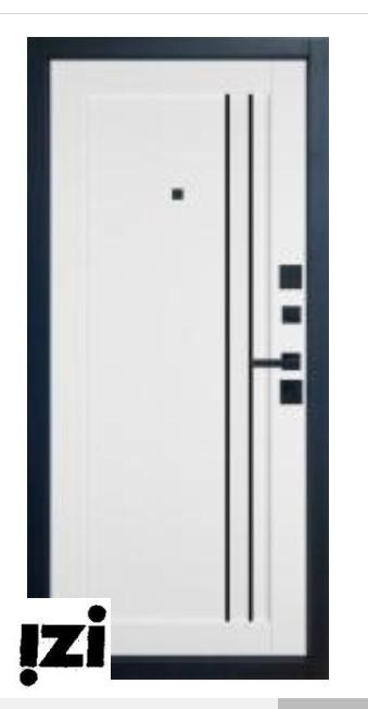 Входные двери EXPERT Pro Atum Pro 33 Ice Black Gloss VFD Владимировская фабрика дверей