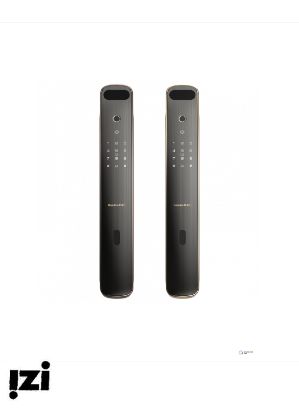 Электронный дверной замок с распознаванием лица Kaadas K19F gold c Face ID