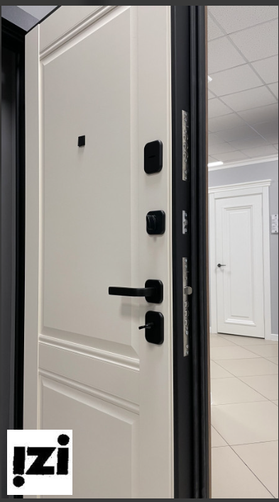 Входная дверь OIKO ACOUSTIC Art Black/DIM I-10 Angel Matt