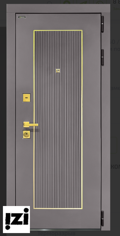 Входные двери Эра Графит / Белый матовый ТАНДОР TANDOOR