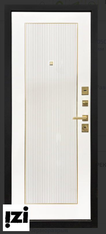 Входные двери Эра Графит / Белый матовый ТАНДОР TANDOOR