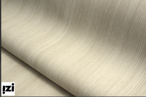 Стальная дверь Porta S-3 51.П61 Almon 28/Bianco Veralinga зеркало