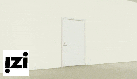 Двери скрытого монтажа IN9 Черный матовый Покрытие - Грунт Размер 600-900*2000 В НАЛИЧИИ